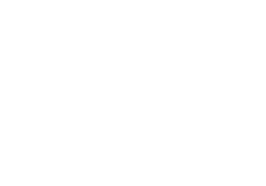 Vados Games Interactive Incorporated